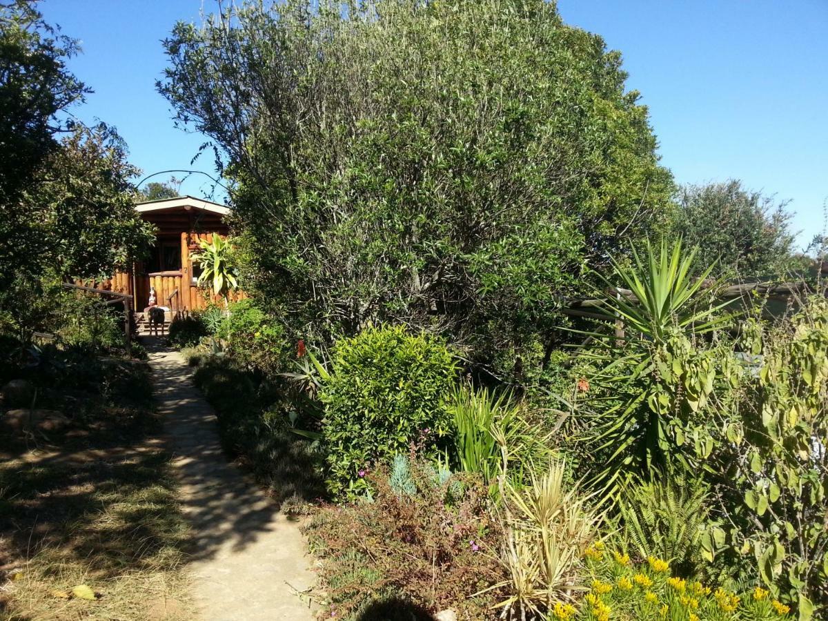 Veki'S Village Cottages Mbabane Kültér fotó